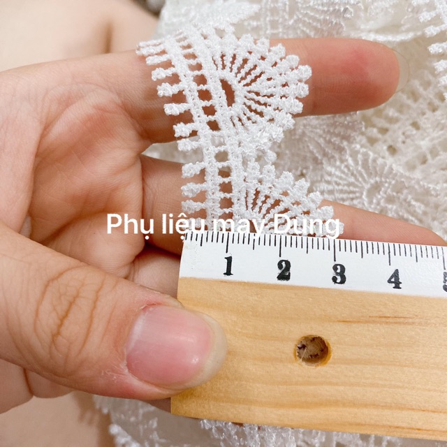 Ren chỉ cỏ lá bảng 3cm