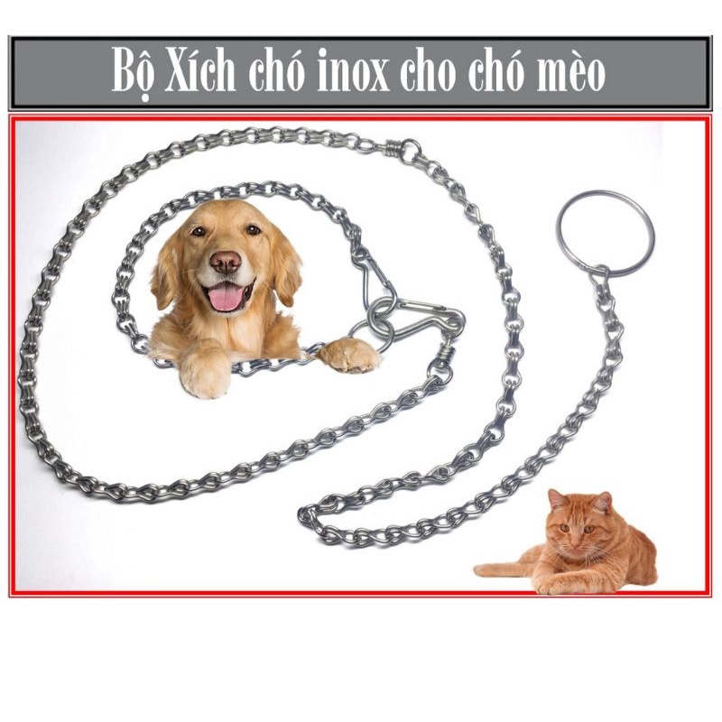 Dây xích chó Song Tâm xích inox cho mèo không gỉ có chống xoắn có nhiều kích thước