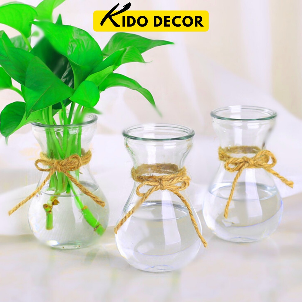 Lọ Hoa Decor Thủy Tinh Cắm Cây Thủy Sinh, Hoa Giả, Hoa Khô Trang Trí Phòng KIDO