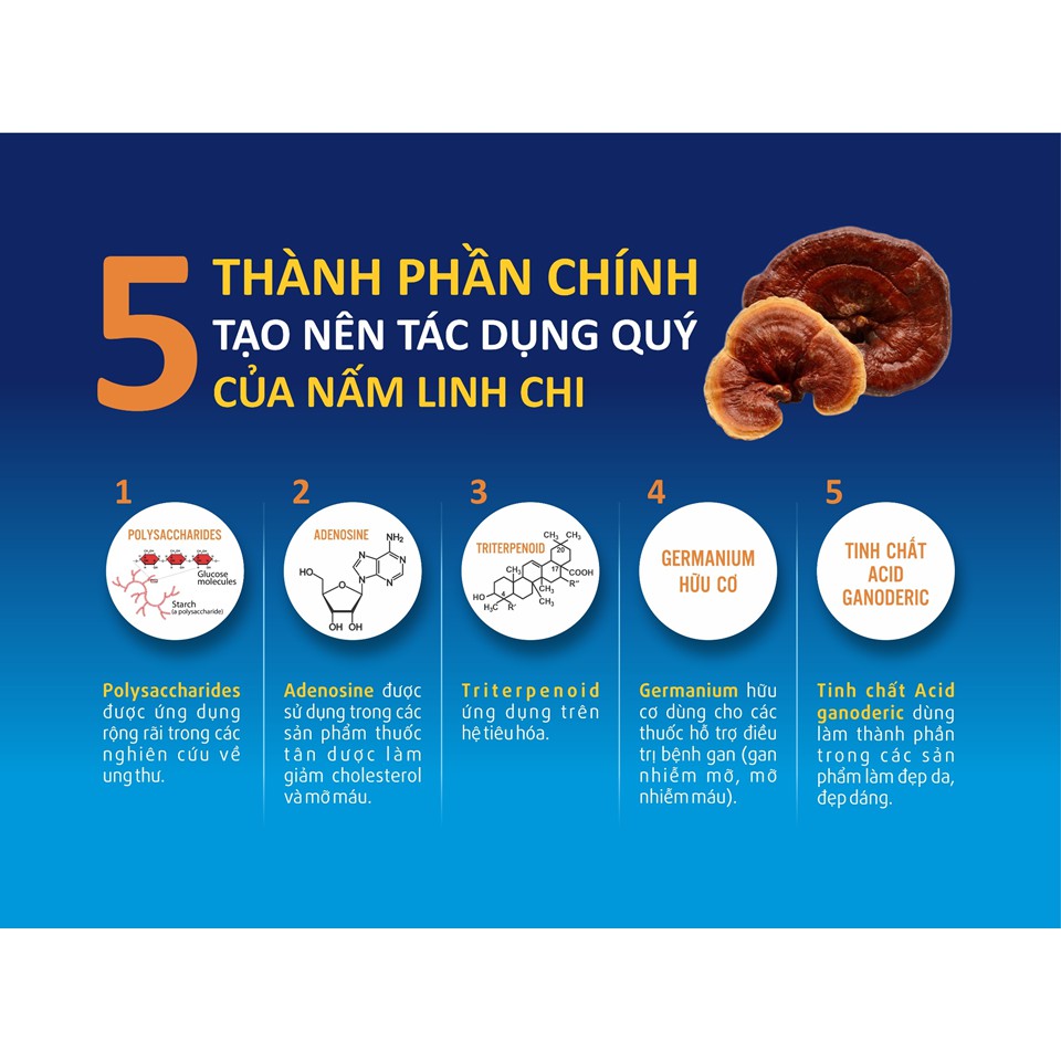 Cao Khô Nấm Linh Chi BẢO HÂN 100g – Tăng Cường Sức Khỏe, Khả Năng Tập Trung, Giảm Căng Thẳng, Mệt Mỏi | KELLY BEAUTY