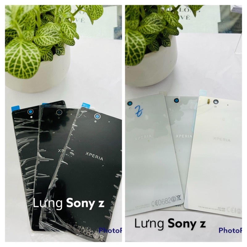 LƯNG SONY Z