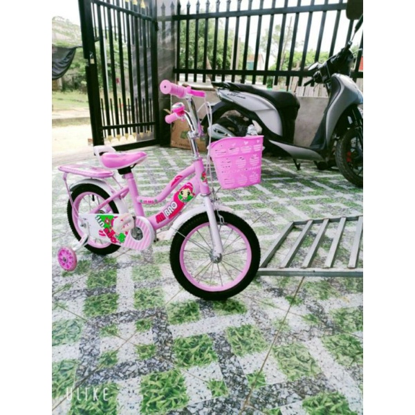 Xe đạp 2 khung cho bé gái hình heo peppa, hình bé gái... size 12, 14, 16 inch