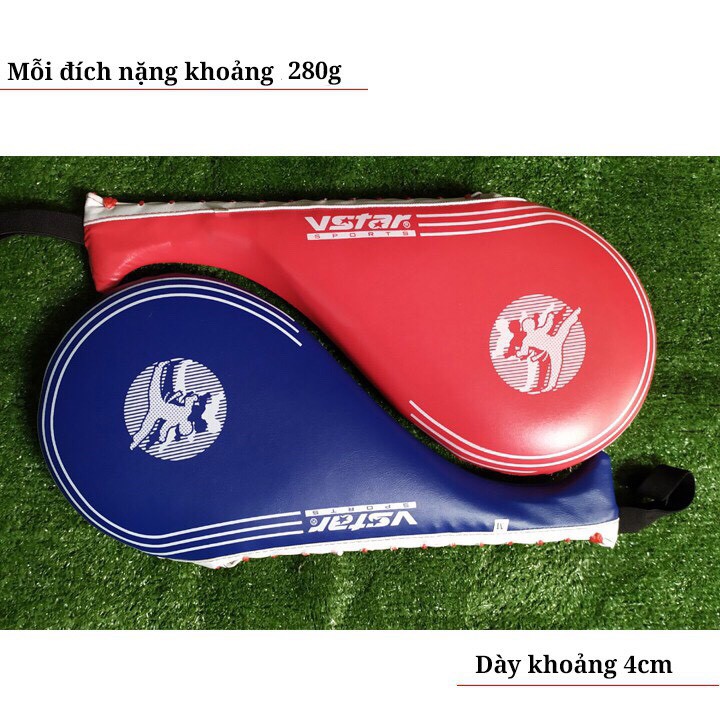 Đích đá đơn tập luyện võ thuật Taekwondo, Vovinam, Karatedo Vstar V50 ( 1 cái)