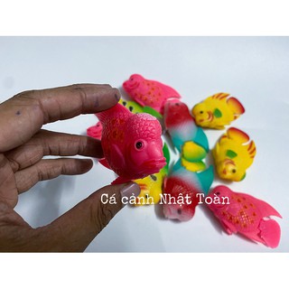 CÁ LA HÁN GIẢ LỚN LÀM CÁ KÈ CHO LA HÁN (MÀU NGẪU NHIÊN)