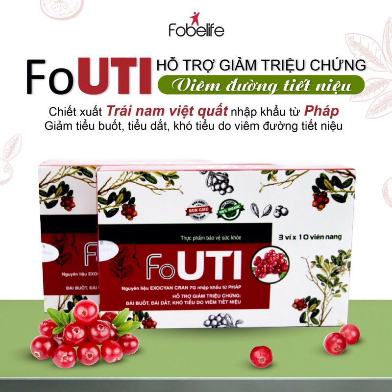 Giảm nhanh đái buốt, đái dắt, khó tiểu- viêm đường tiết niệu Fouti- Hộp 30 viên.