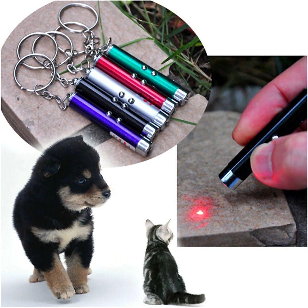 PEWANY Móc Khóa Chiếu Đèn Laser Đồ Chơi Cho Mèo 2 Trong 1