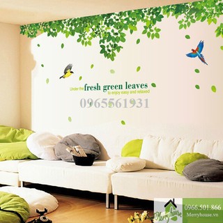 Decal Dán Tường Tán Lá Xanh Lớn