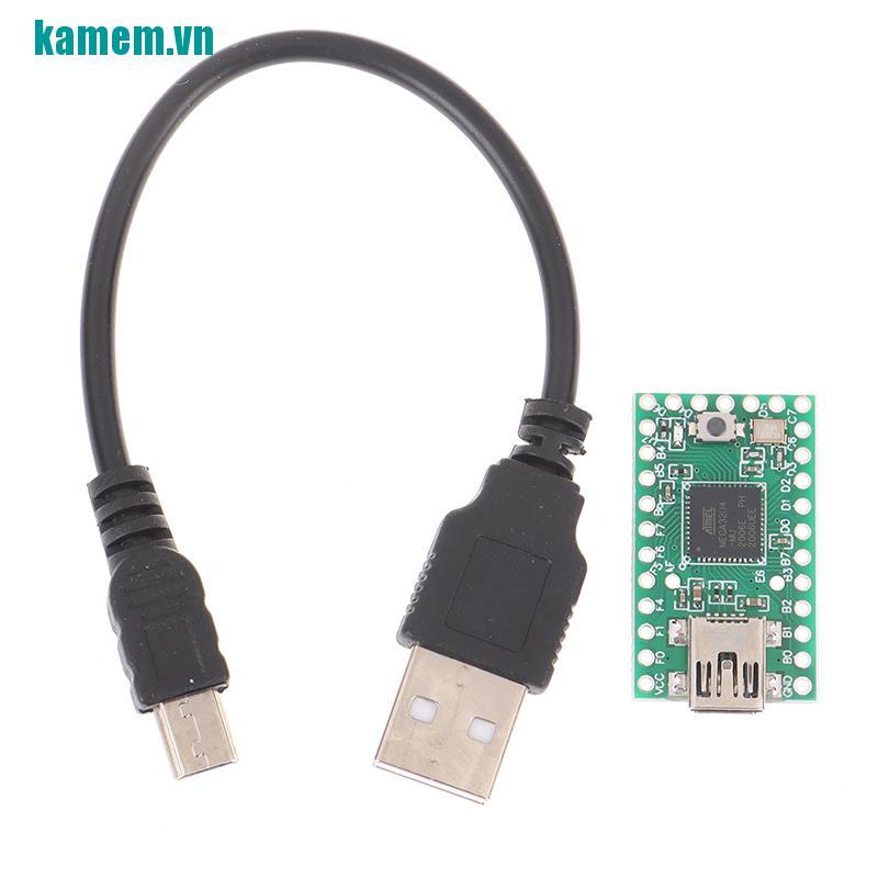Bảng Mạch Phát Triển Teensy 2.0 Usb Avr | BigBuy360 - bigbuy360.vn