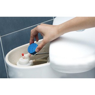 combo 08 viên bồn cầu toilet