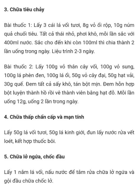 Lá Vối nếp Lâm Đồng tươi/khô uống trị bệnh