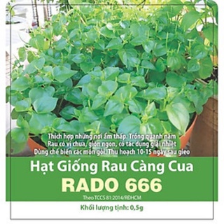 Hạt giống rau càng cua rado 666