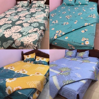 Trọn bộ Chăn Ga Gối Trần Bông Poly Mẫu mới nhất - Ga Trùm Freesize có chun bo góc