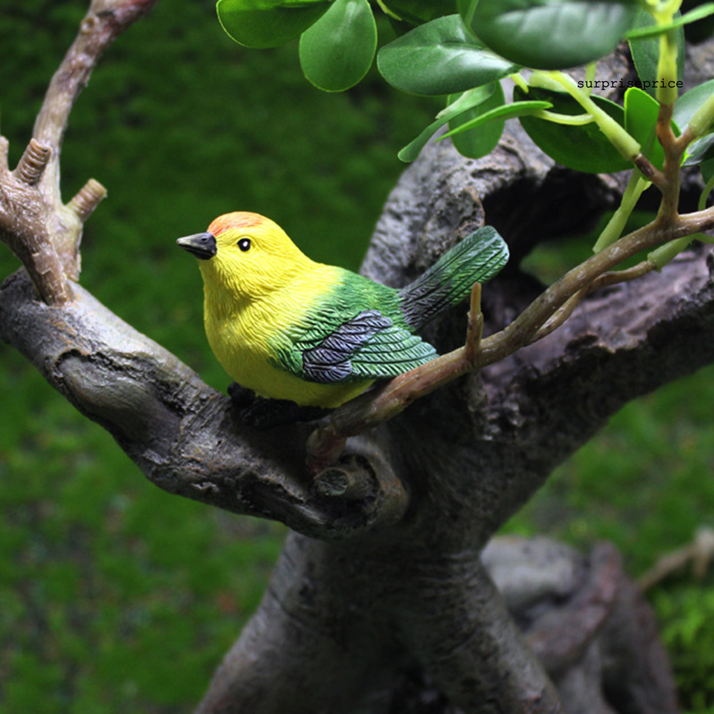 Mô hình tổ chim/chú chim xinh xắn trang trí đẹp mắt