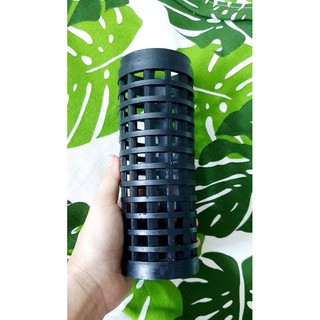 Cột leo cho cây trầu bà