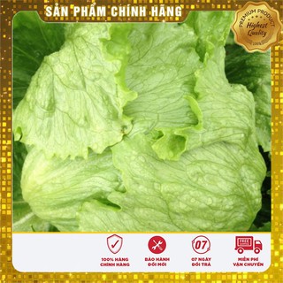 Hạt giống xà lách cuộn trắng F1