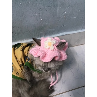 NÓN LEN HANDMADE CHO MÈO