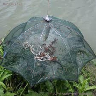 Bộ lồng bát quái 8 cửa ( rẻ vô địch )