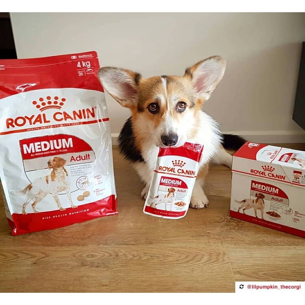 ROYAL CANIN - MEDIUM AUDULT [ CHÍNH HÃNG ] - DÀNH CHO CHÓ TRƯỞNG THÀNH 11-25KG