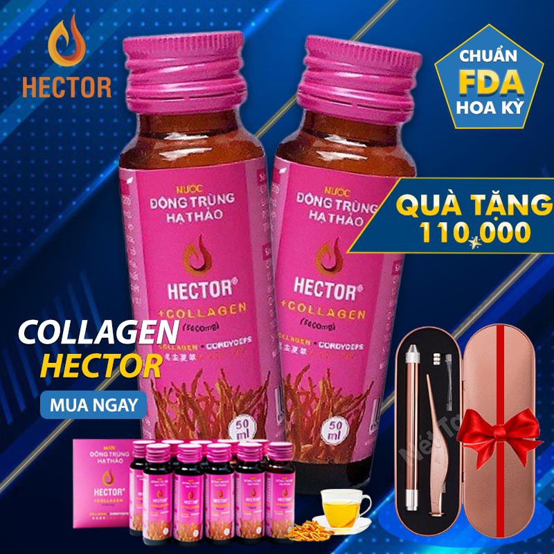 Nước đông trùng hạ thảo Collagen Hector hộp 10 chai Tặng kèm bộ ráy tai 2in1 có đèn led