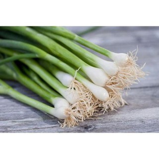 Gói 5 gr hạt giống hành ta