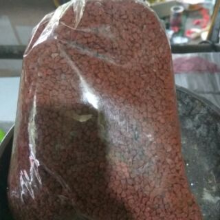 Hạt điều 100g