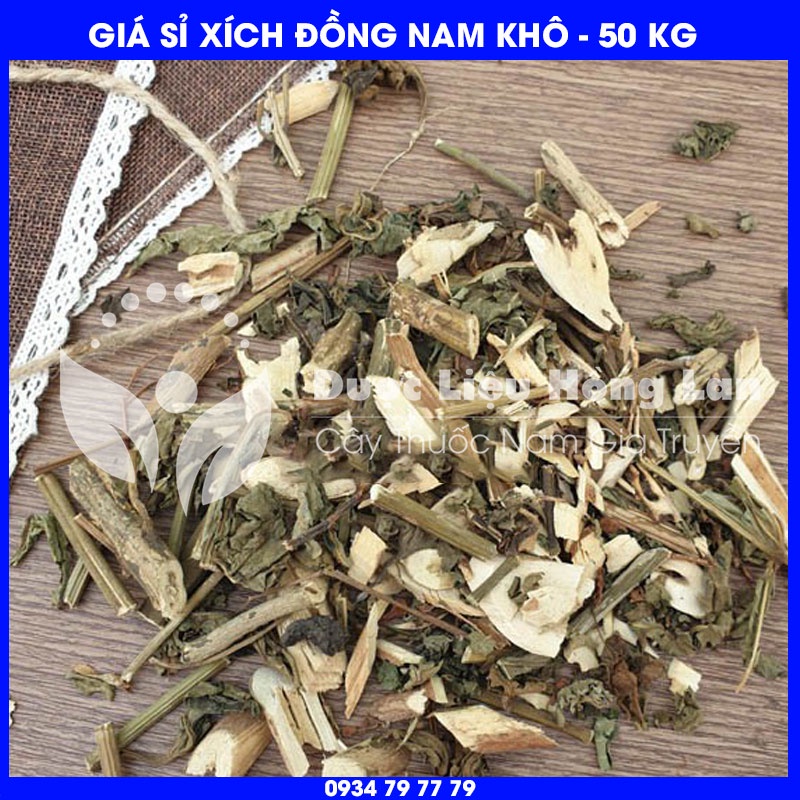 Cung cấp sỉ Cây Xích Đồng Nam (Mò Hoa Đỏ) khô giá bán 50kg - Công ty dược liệu Hồng Lan