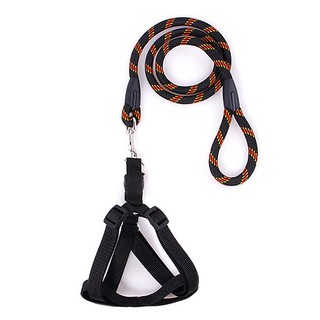 Dây dắt vải đan bền cho thú cưng