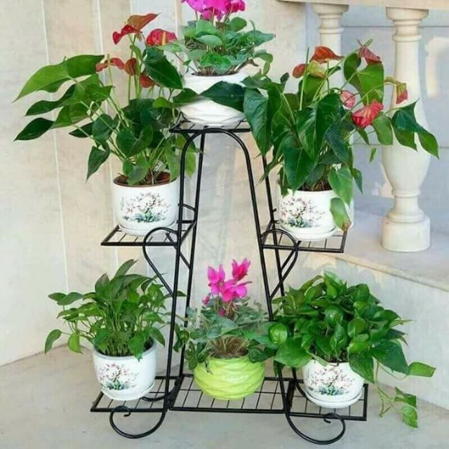 Kệ hoa 6 tầng
