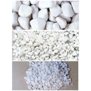 [ Chọn size] Sỏi Trắng Trang Trí Hồ Cá - Phụ Kiện Bể Cá- 1Kg