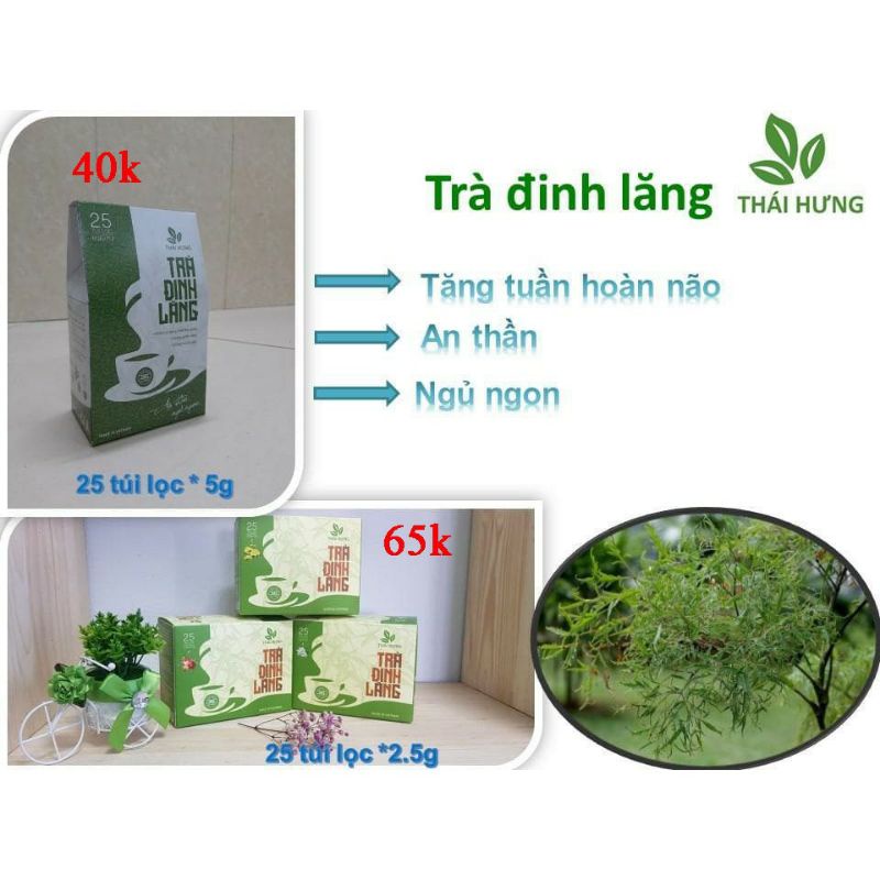 Trà Đinh Lăng Thái Hưng An Thần Ngủ Ngon hộp 25 túi lọc