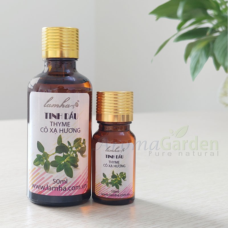 Tinh Dầu Cỏ Xạ Hương ( Essential Thyme oil )