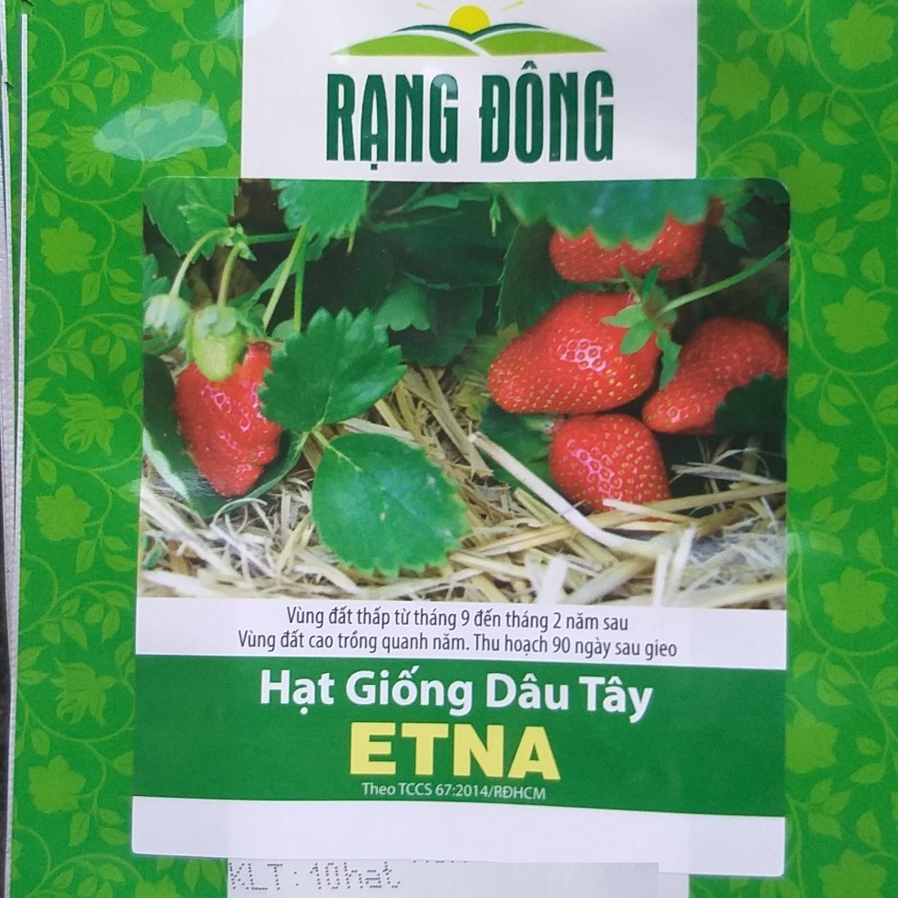 Hạt Giống Dâu Tây (10 Hạt)