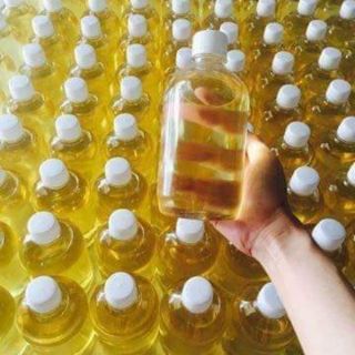Dầu dừa Bến Tre hũ 100ml thơm lừng