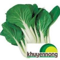 10 gr hạt giống cải bẹ trắng