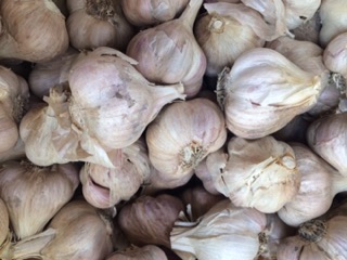 TỎI TA (HẢI DƯƠNG)