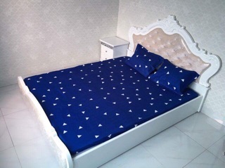 Ga chun poly và 2 vỏ gối SALE