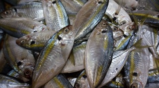 Cá chỉ vàng khô 500 gr