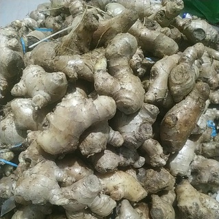 Gừng Tươi (1kg )
