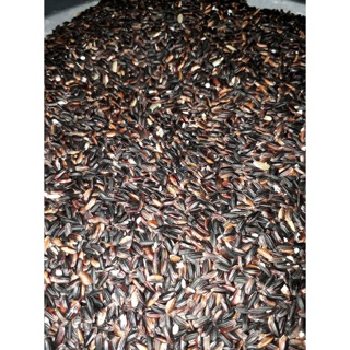 2kg Nếp cẩm Chuẩn gạo nếp ngon trồng trên nương