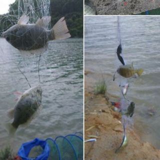 Lưới câu cá dạng lưới đa năng