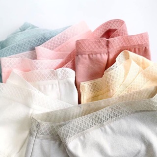 Combo 6 quần chip cotton xuất Nhật