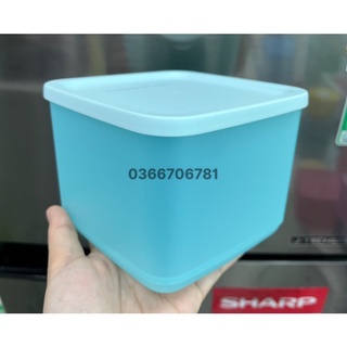 Hộp bảo quản thực phẩm Medium Square Round (màu inb)