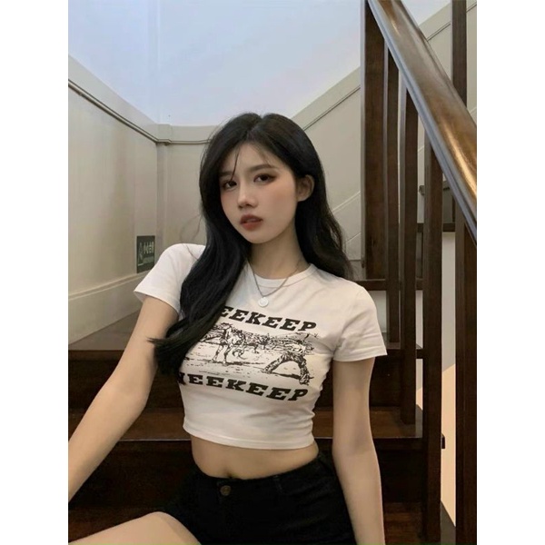 ÁO CỔ TRÒN CROTOP