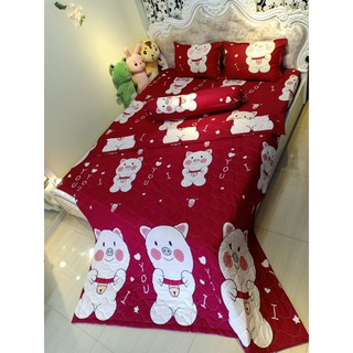 Set 5 chăn hè ga gối Tặng vỏ gối ôm LỢN ĐỎ TO đủ kích thước
