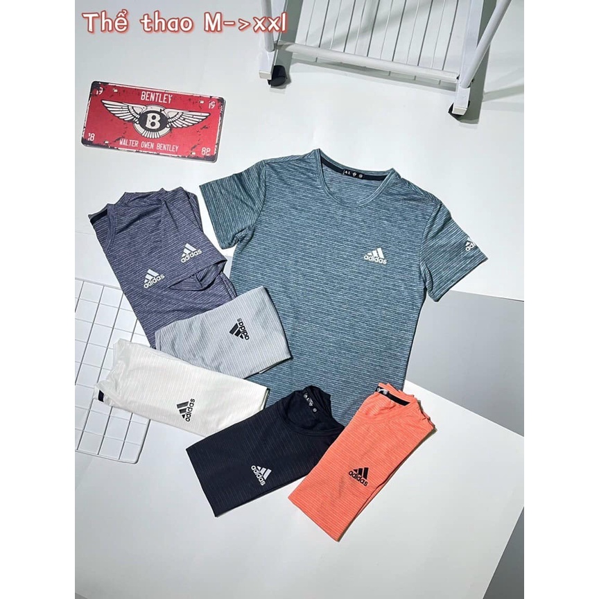 Áo Thun Nam Cổ Tròn ,Kiểu Dáng Body ,Trẻ Trung ,Năng Động (KIM ANH STORE 1003/2 Bình giã Vũng Tàu)