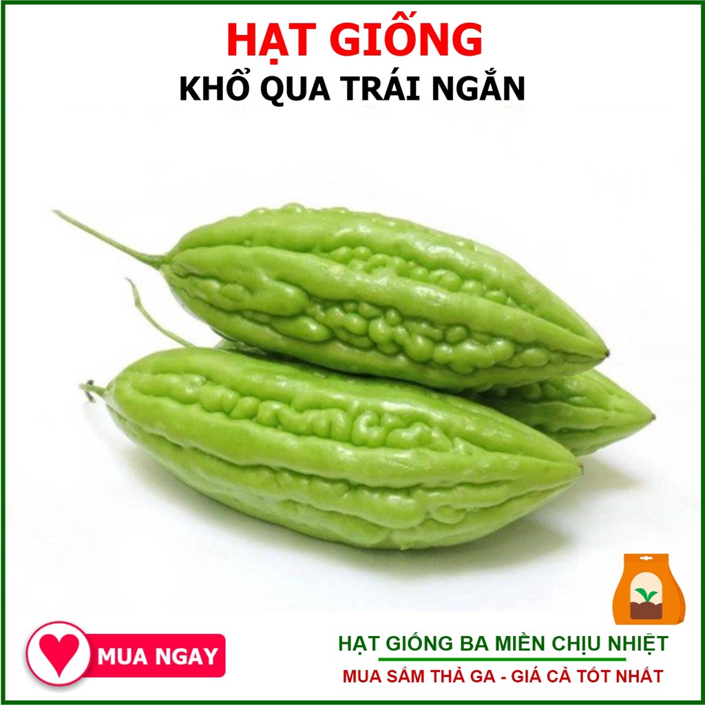 Hạt Giống Khổ Qua Trái Ngắn Rạng Đông 2Gram