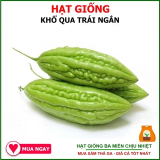 Hạt Giống Khổ Qua Trái Ngắn Rạng Đông 2Gram