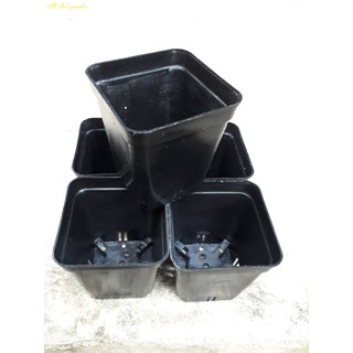 Chậu nhựa vuông đen size 7x7cm (set 100 cái)