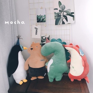 Combo gối ôm
