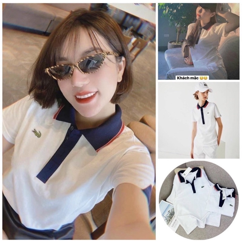 Áo cổ đức cá sấu